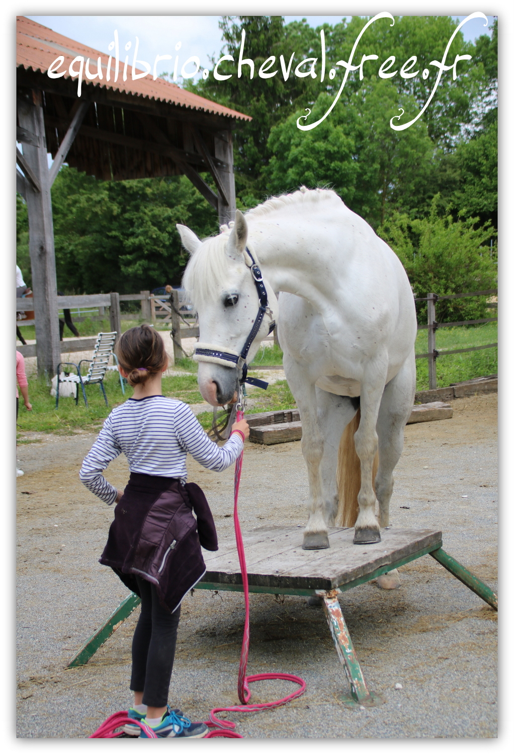 Equilibrio - Haras du Souzan - Mai 2019 - Stage Travail en longe et Cirque avec Olivier Finet - CELTIC WIND DUFF, Connemara et Lisa
