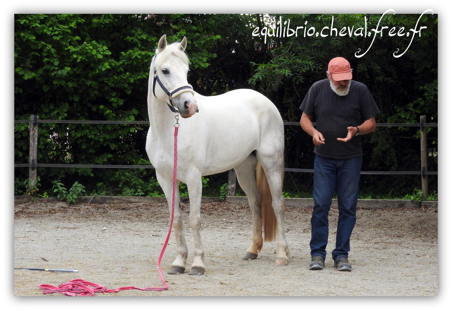 Equilibrio - Haras du Souzan - Mai 2019 - Stage Travail en longe et Cirque avec Olivier Finet - CELTIC WIND DUFF, Connemara et Lisa