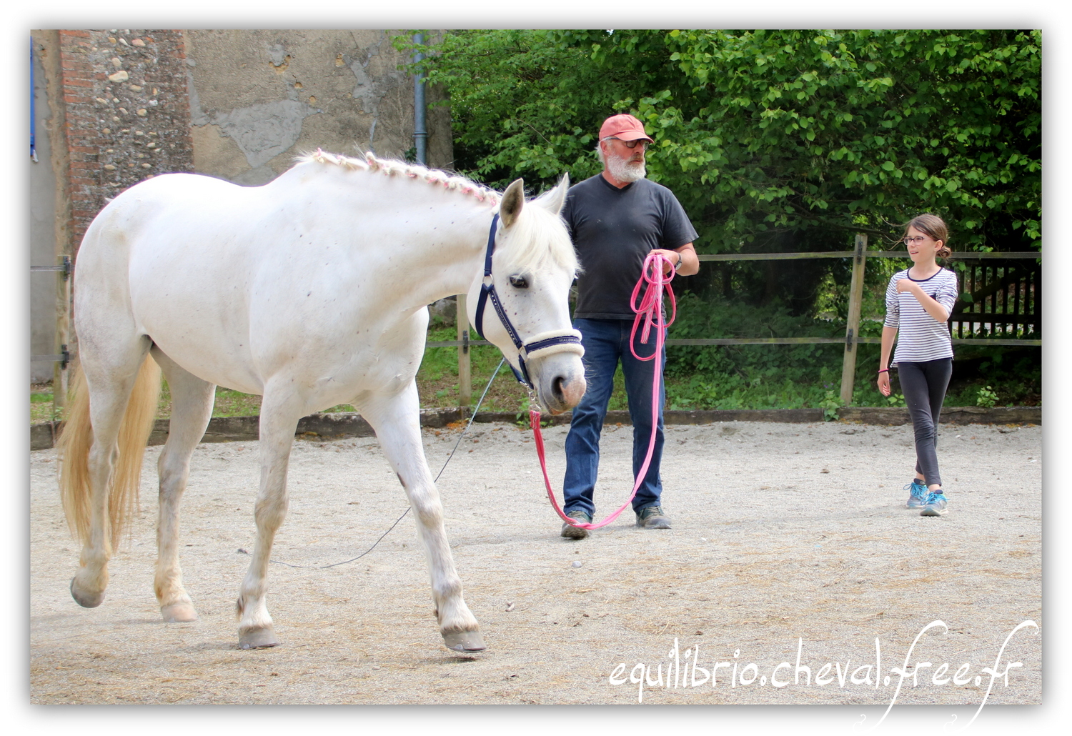 Equilibrio - Haras du Souzan -  Mai 2019 - Stage Travail en longe et Cirque avec Olivier Finet - CELTIC WIND DUFF, Connemara et Lisa