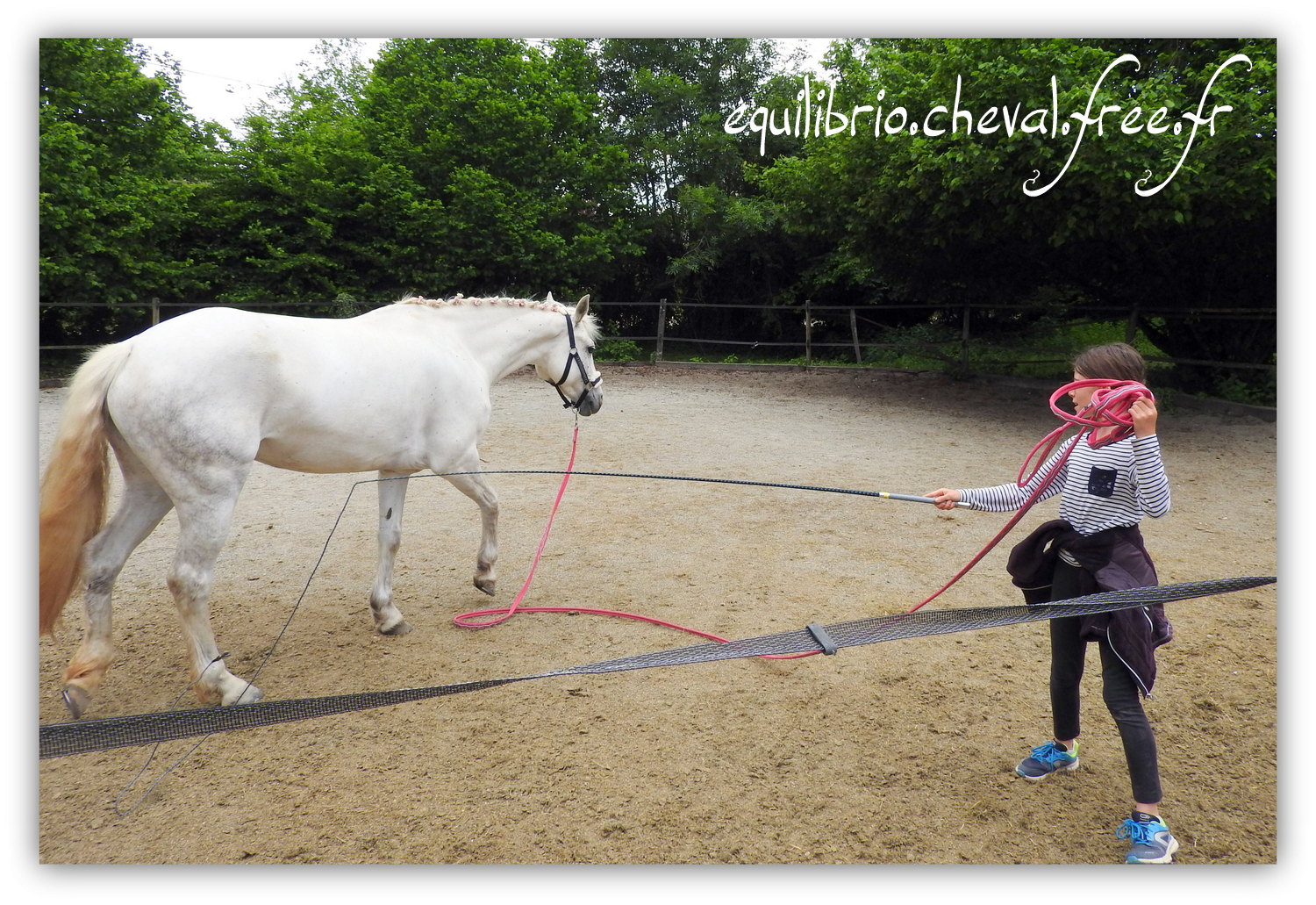 Equilibrio - Haras du Souzan - Mai 2019 - Stage Travail en longe et Cirque avec Olivier Finet - CELTIC WIND DUFF, Connemara et Lisa