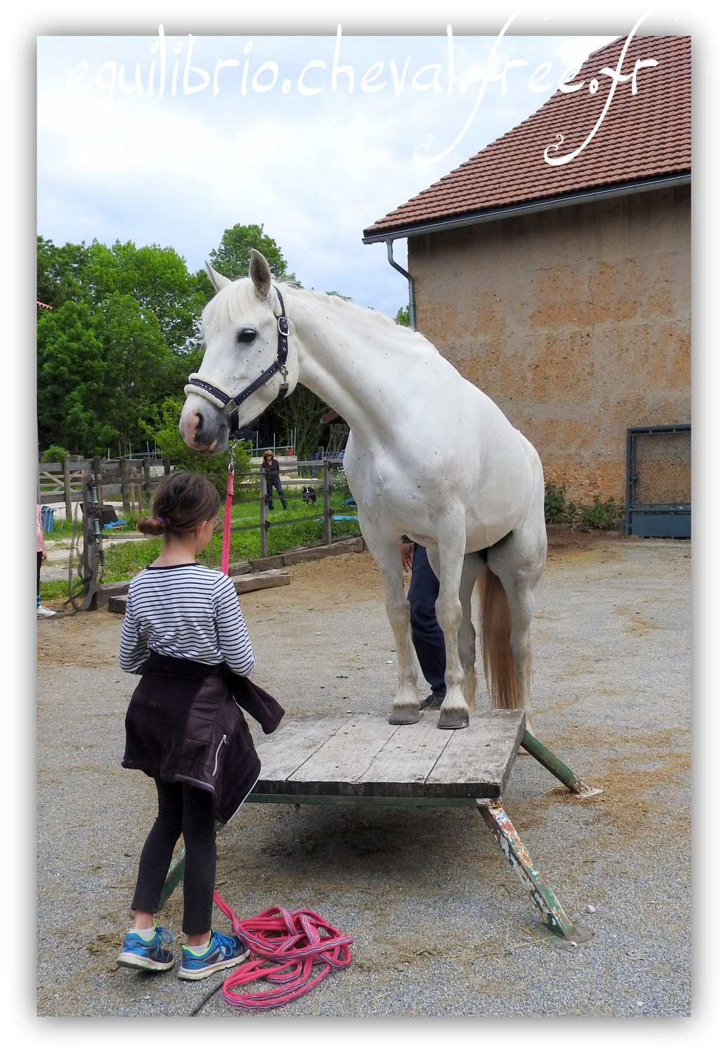 Equilibrio - Haras du Souzan - Mai 2019 - Stage Travail en longe et Cirque avec Olivier Finet - CELTIC WIND DUFF, Connemara et Lisa