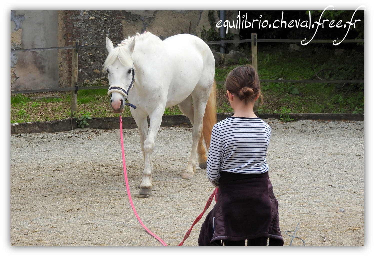 Equilibrio - Haras du Souzan - Mai 2019 - Stage Travail en longe et Cirque avec Olivier Finet - CELTIC WIND DUFF, Connemara et Lisa