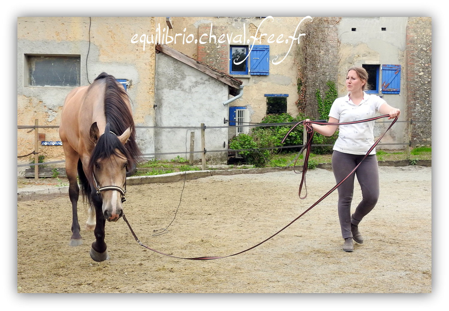 Equilibrio - Haras du Souzan -  Mai 2019 - Stage Travail en longe et Cirque avec Olivier Finet - IMPAR DA BROA, Pur Sang Lusitanien et Cassandre