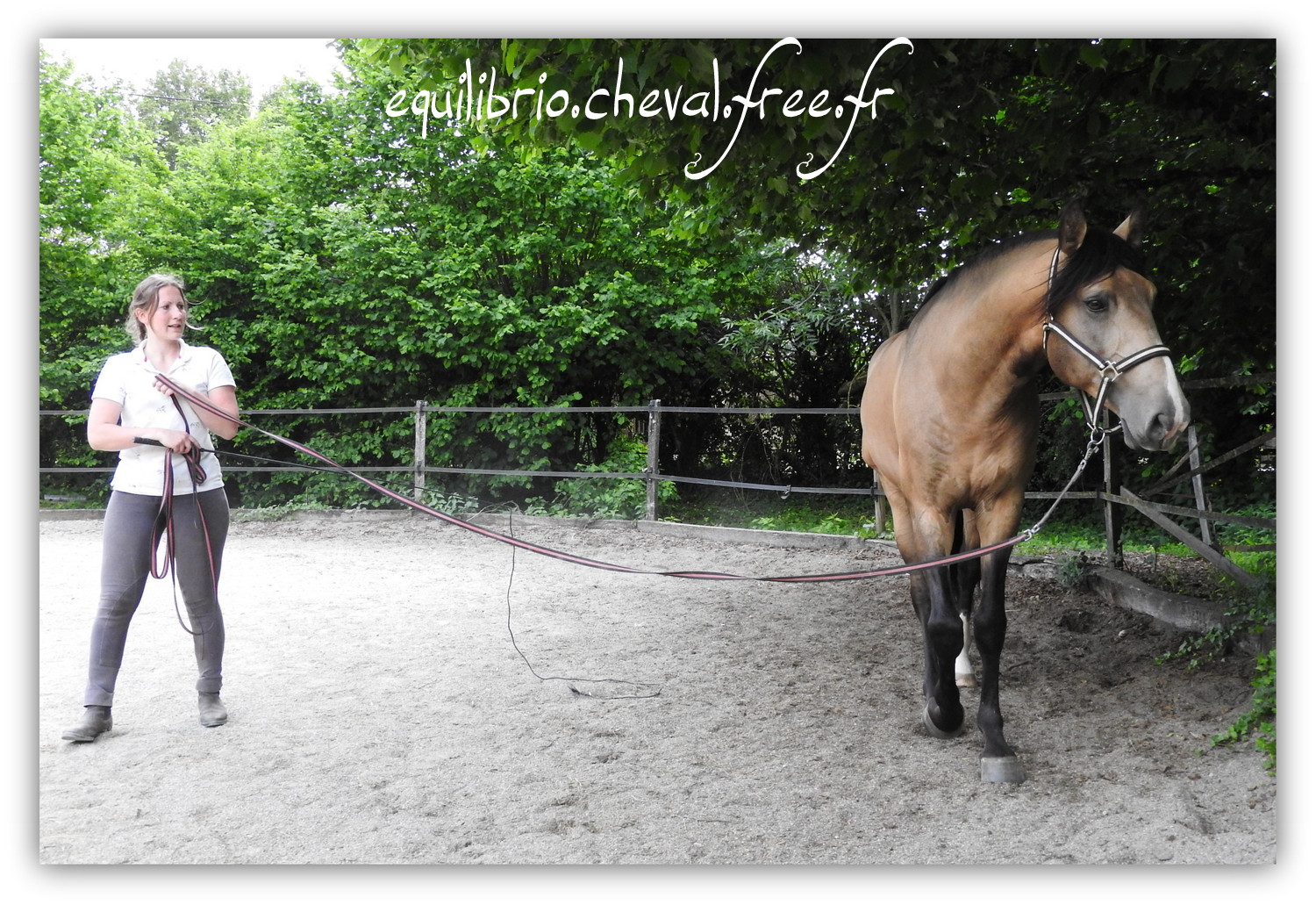 Equilibrio - Haras du Souzan -  Mai 2019 - Stage Travail en longe et Cirque avec Olivier Finet - IMPAR DA BROA, Pur Sang Lusitanien et Cassandre