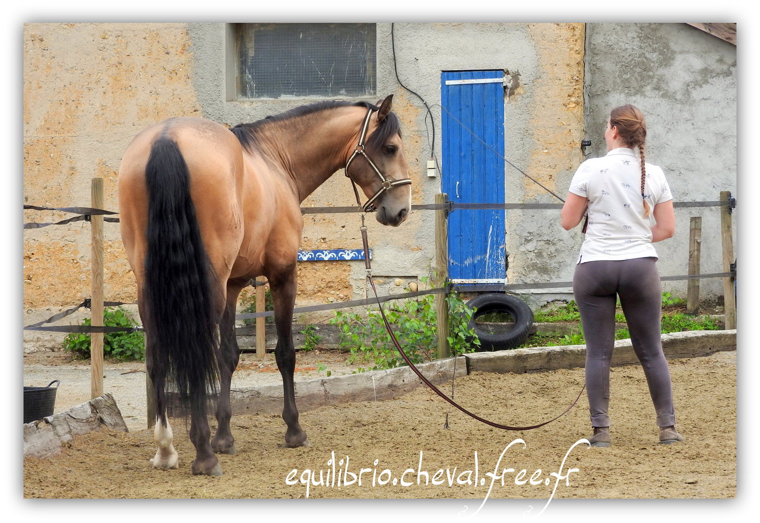 Equilibrio - Haras du Souzan -  Mai 2019 - Stage Travail en longe et Cirque avec Olivier Finet - IMPAR DA BROA, Pur Sang Lusitanien et Cassandre
