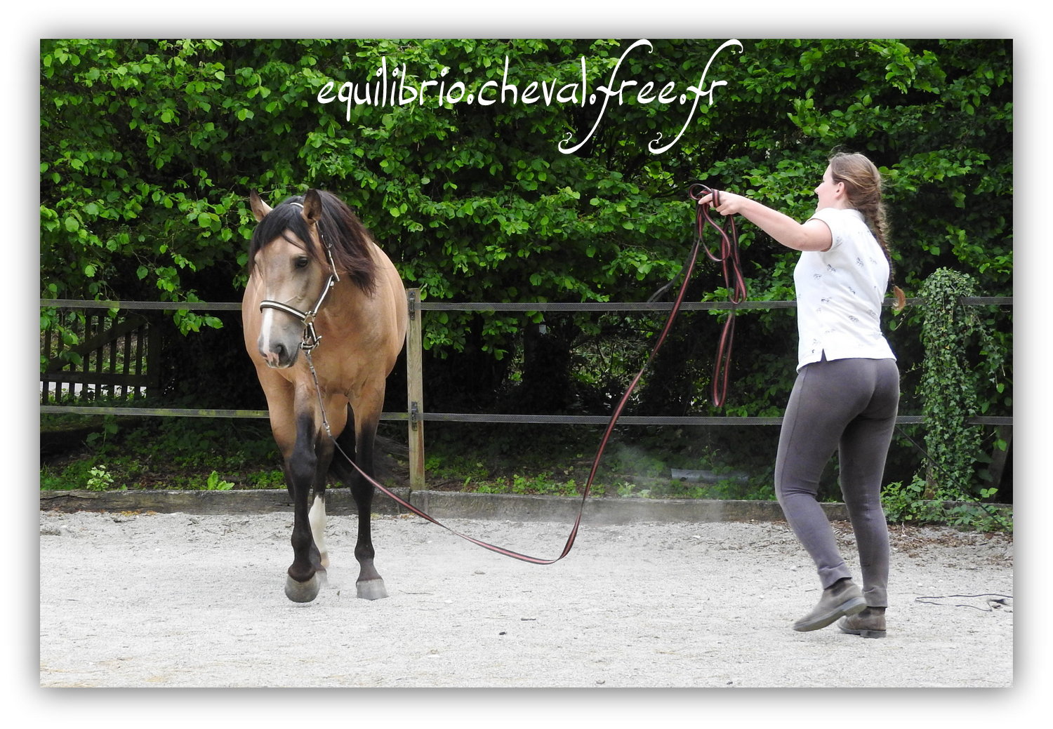 Equilibrio - Haras du Souzan -  Mai 2019 - Stage Travail en longe et Cirque avec Olivier Finet - IMPAR DA BROA, Pur Sang Lusitanien et Cassandre