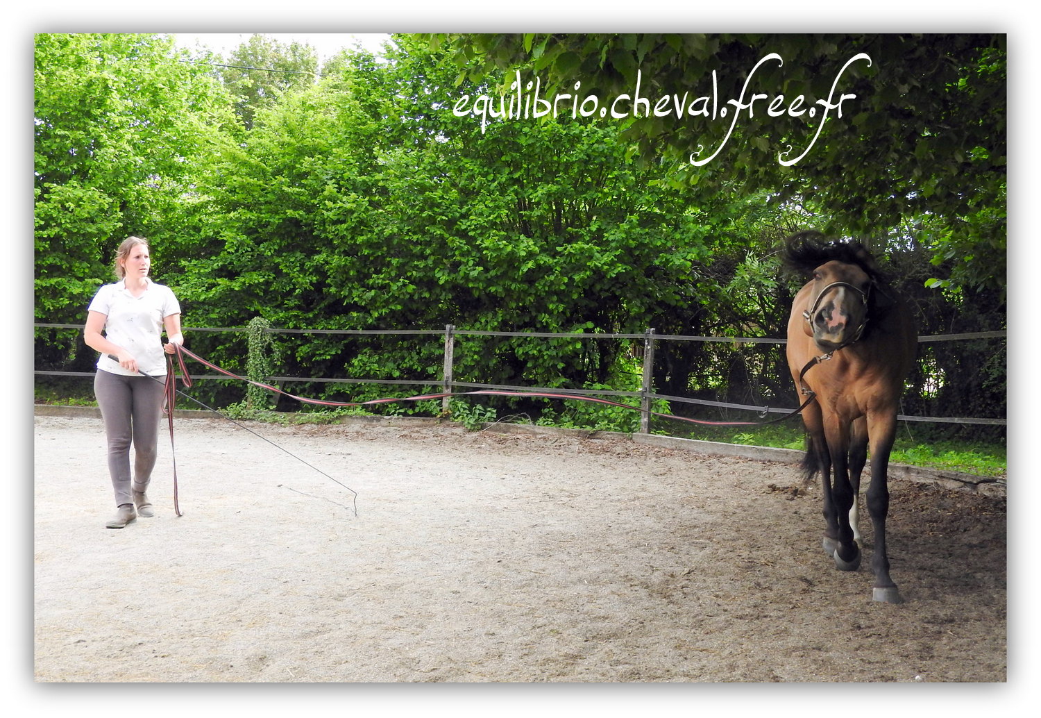 Equilibrio - Haras du Souzan -  Mai 2019 - Stage Travail en longe et Cirque avec Olivier Finet - IMPAR DA BROA, Pur Sang Lusitanien et Cassandre