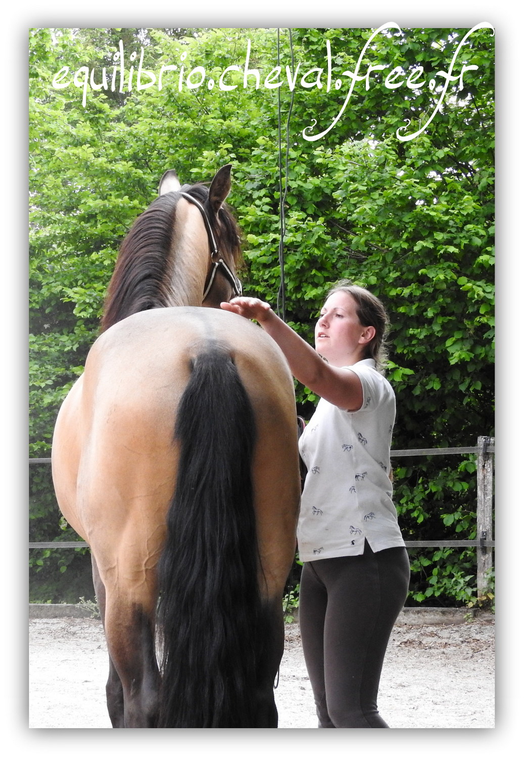 Equilibrio - Haras du Souzan -  Mai 2019 - Stage Travail en longe et Cirque avec Olivier Finet - IMPAR DA BROA, Pur Sang Lusitanien et Cassandre