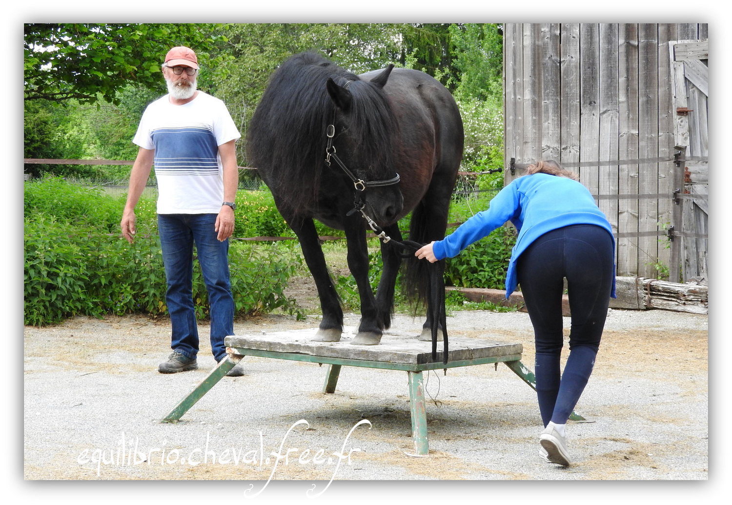 Equilibrio - Haras du Souzan - Mai 2019 - Stage Travail en longe et Cirque avec Olivier Finet - JAÏKA, Poney et Alice
