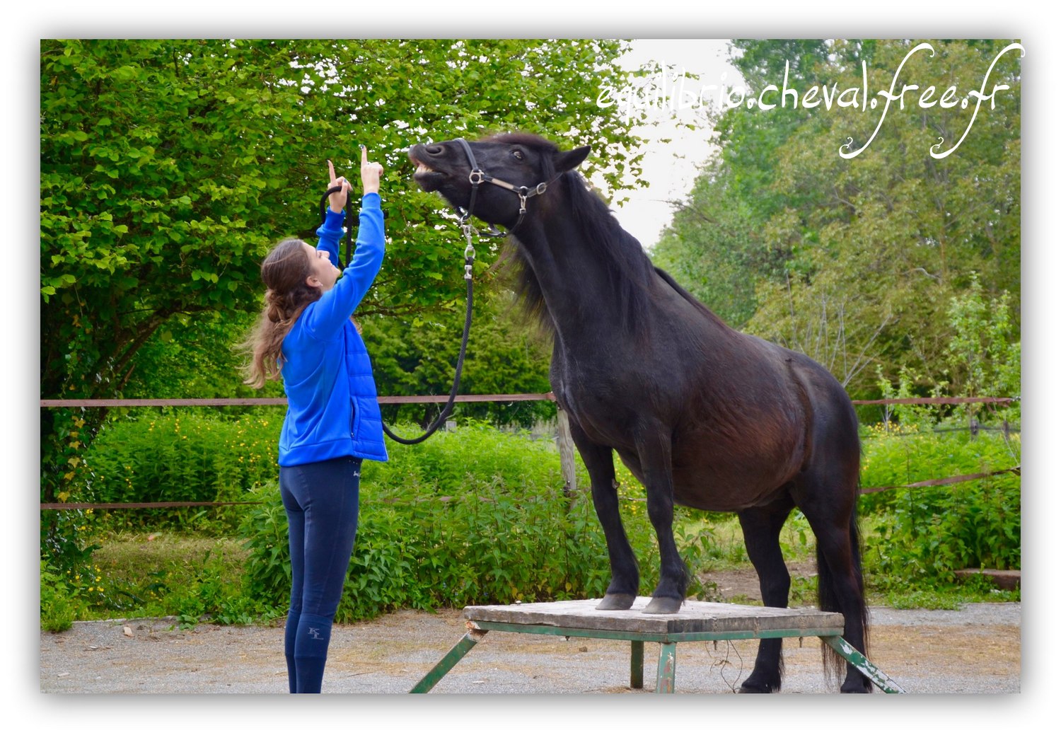 Equilibrio - Haras du Souzan - Mai 2019 - Stage Travail en longe et Cirque avec Olivier Finet - JAÏKA, Poney et Alice