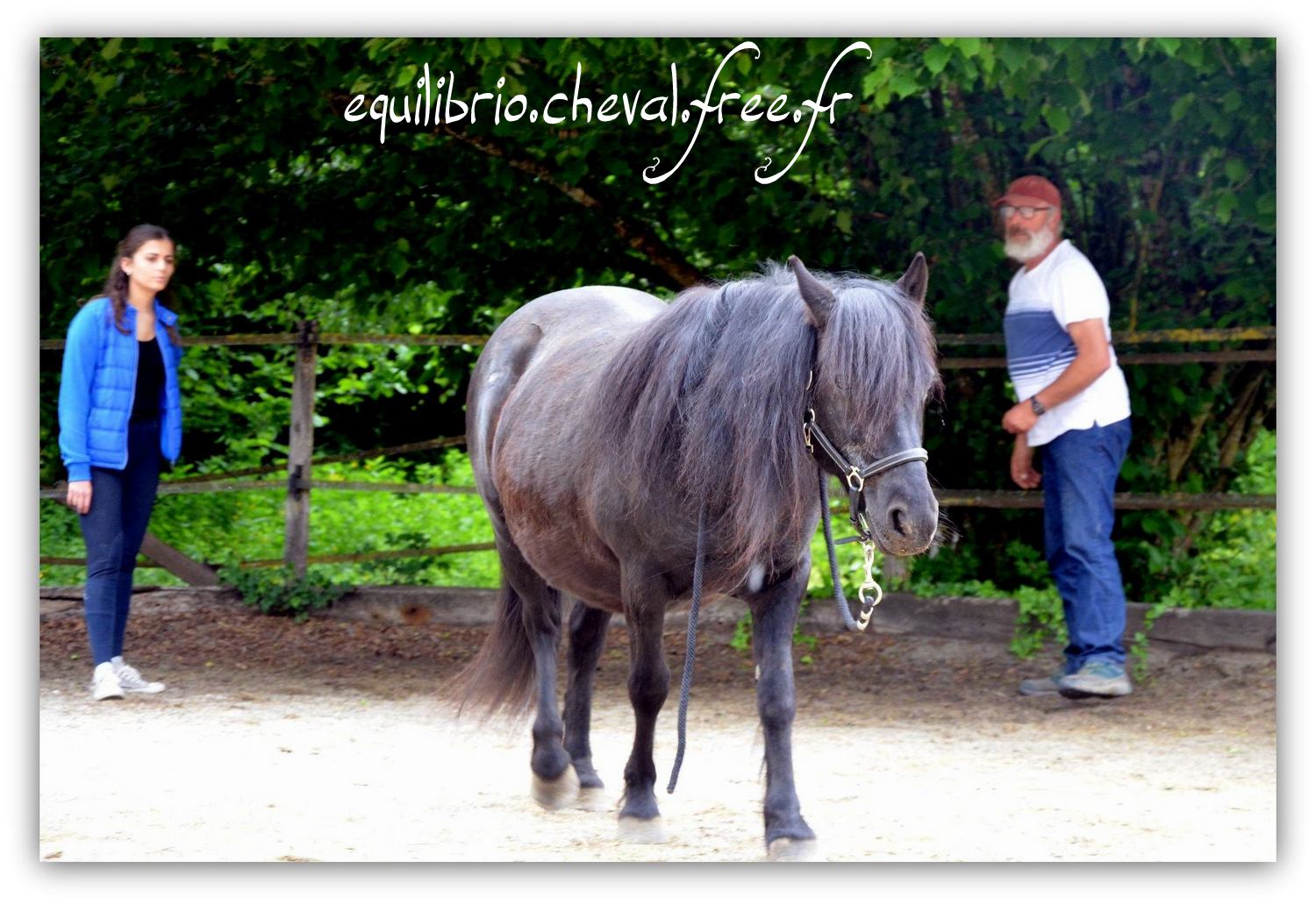 Equilibrio - Haras du Souzan - Mai 2019 - Stage Travail en longe et Cirque avec Olivier Finet - JAÏKA, Poney et Alice