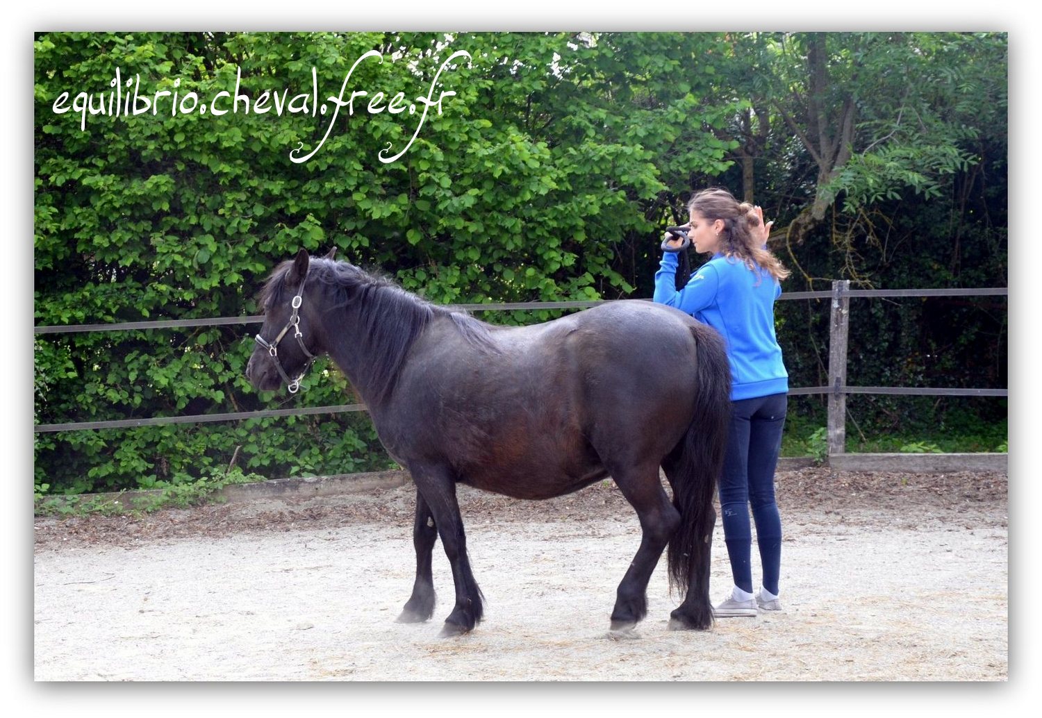 Equilibrio - Haras du Souzan - Mai 2019 - Stage Travail en longe et Cirque avec Olivier Finet - JAÏKA, Poney et Alice