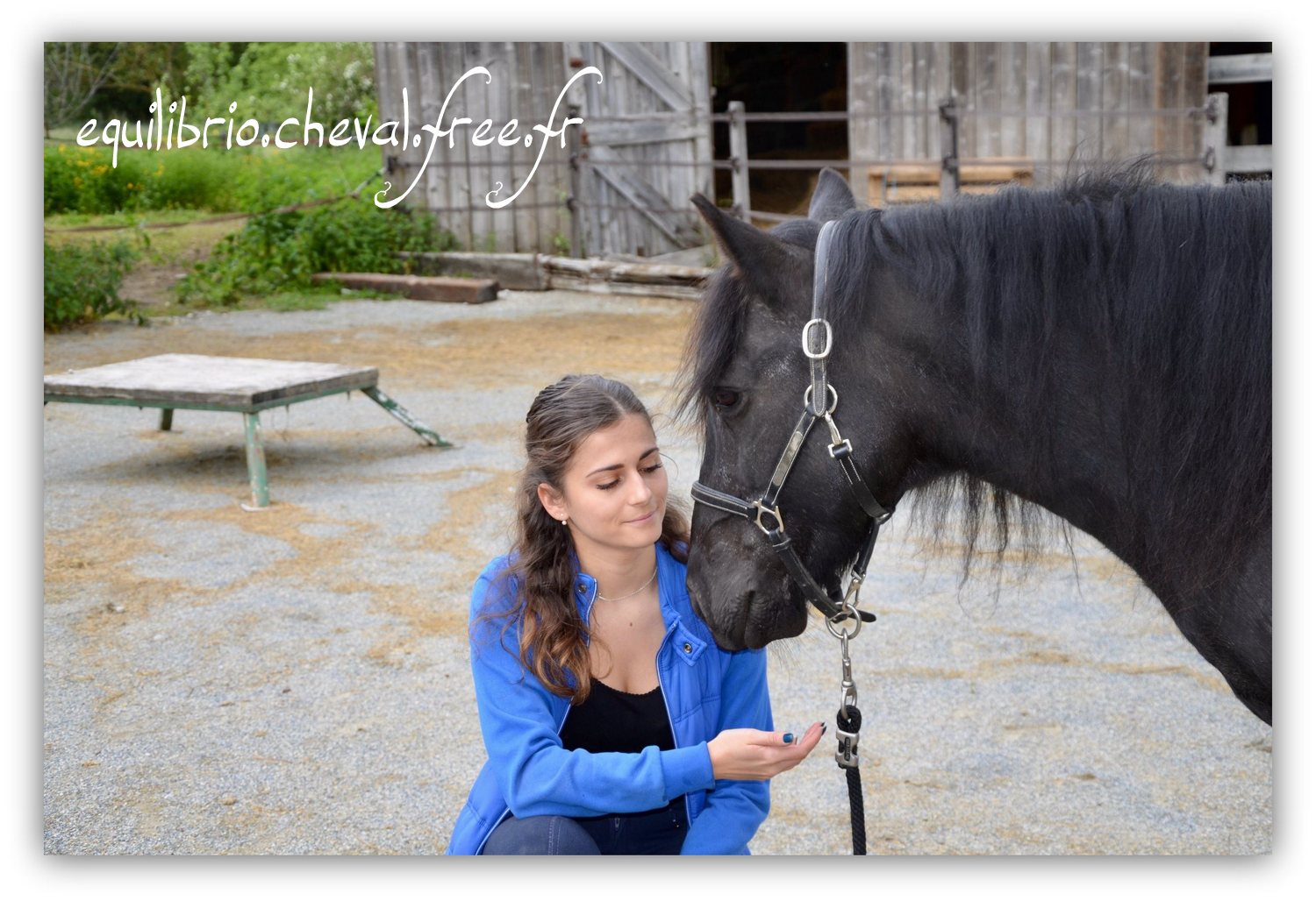 Equilibrio - Haras du Souzan - Mai 2019 - Stage Travail en longe et Cirque avec Olivier Finet - JAÏKA, Poney et Alice