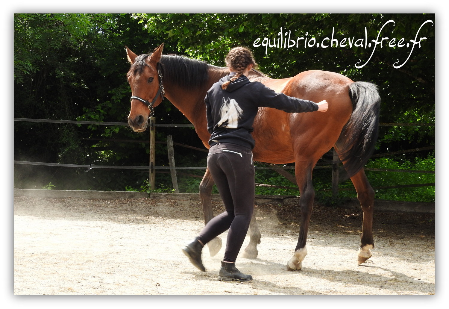 Equilibrio - Haras du Souzan -  Mai 2019 - Stage Travail en longe et Cirque avec Olivier Finet - JUPITER, Cheval de Selle et Melissa