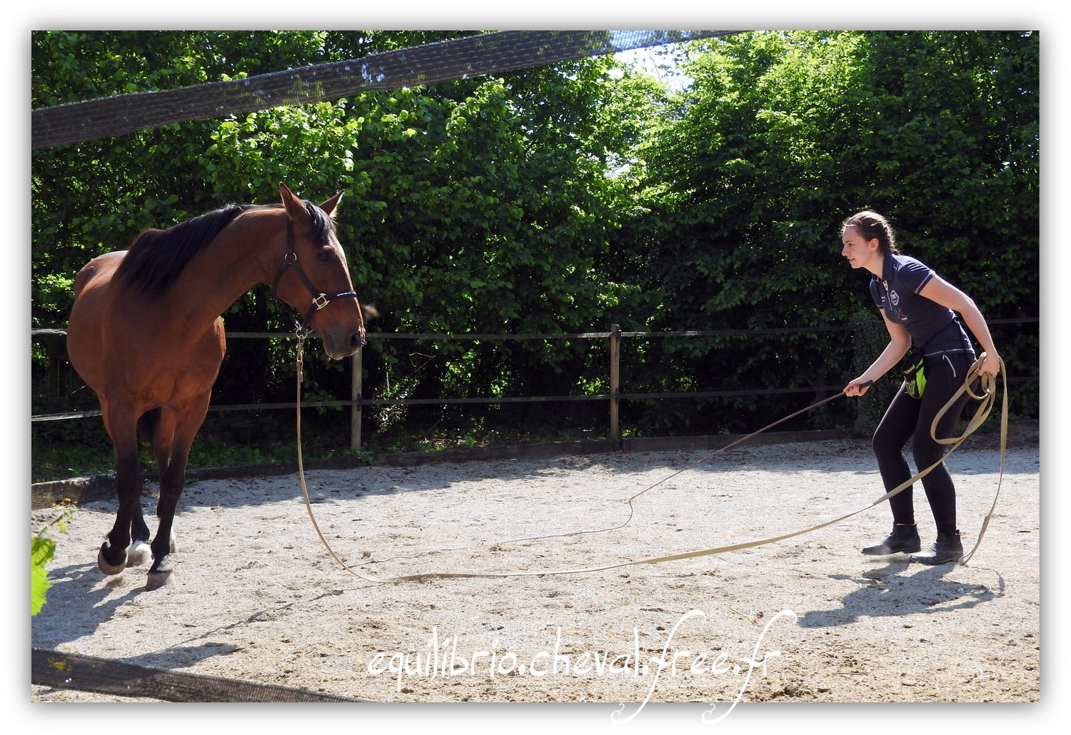 Equilibrio - Haras du Souzan -  Mai 2019 - Stage Travail en longe et Cirque avec Olivier Finet - JUPITER, Cheval de Selle et Melissa