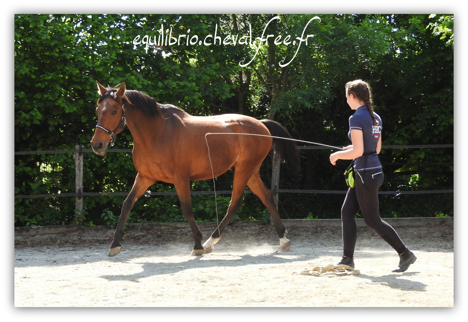 Equilibrio - Haras du Souzan -  Mai 2019 - Stage Travail en longe et Cirque avec Olivier Finet - JUPITER, Cheval de Selle et Melissa