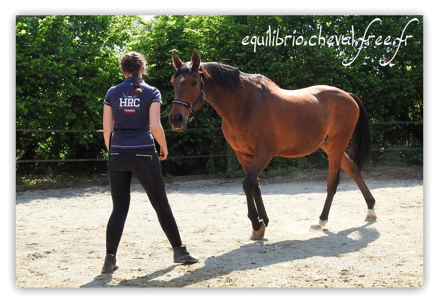 Equilibrio - Haras du Souzan -  Mai 2019 - Stage Travail en longe et Cirque avec Olivier Finet - JUPITER, Cheval de Selle et Melissa