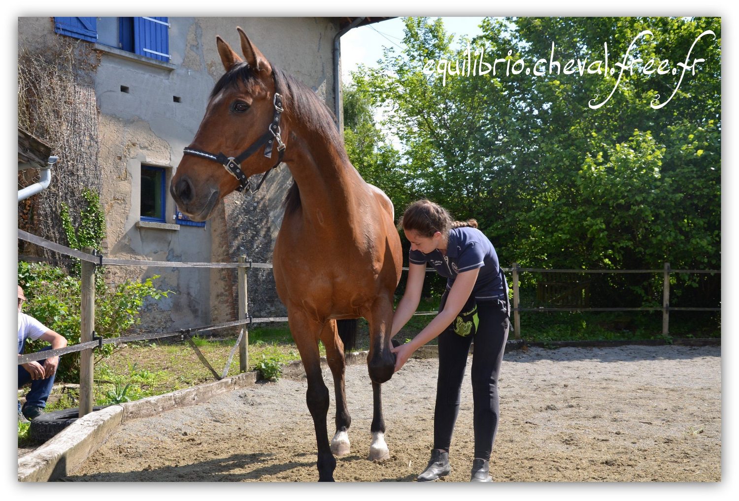 Equilibrio - Haras du Souzan -  Mai 2019 - Stage Travail en longe et Cirque avec Olivier Finet - JUPITER, Cheval de Selle et Melissa