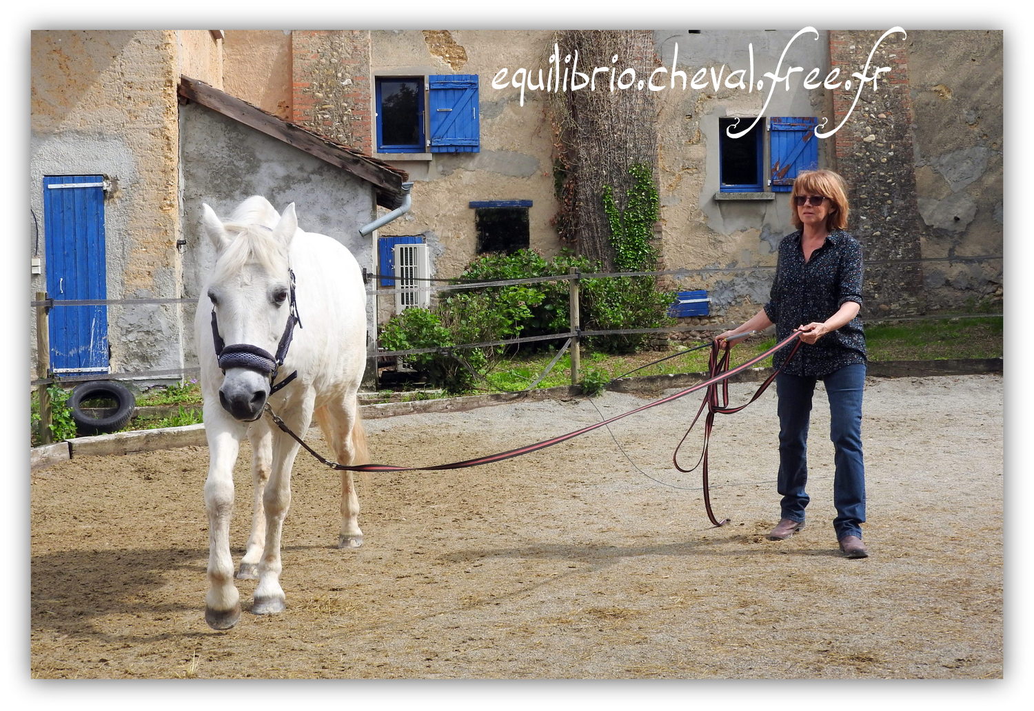 Equilibrio - Haras du Souzan -  Mai 2019 - Stage Travail en longe et Cirque avec Olivier Finet - LAGILE DU FEYDEL, Poney Français de Selle et Ghyslaine