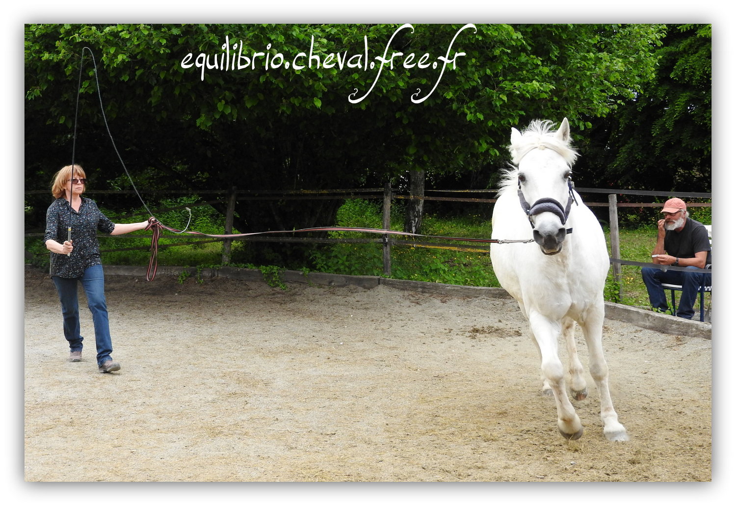 Equilibrio - Haras du Souzan -  Mai 2019 - Stage Travail en longe et Cirque avec Olivier Finet - LAGILE DU FEYDEL, Poney Français de Selle et Ghyslaine