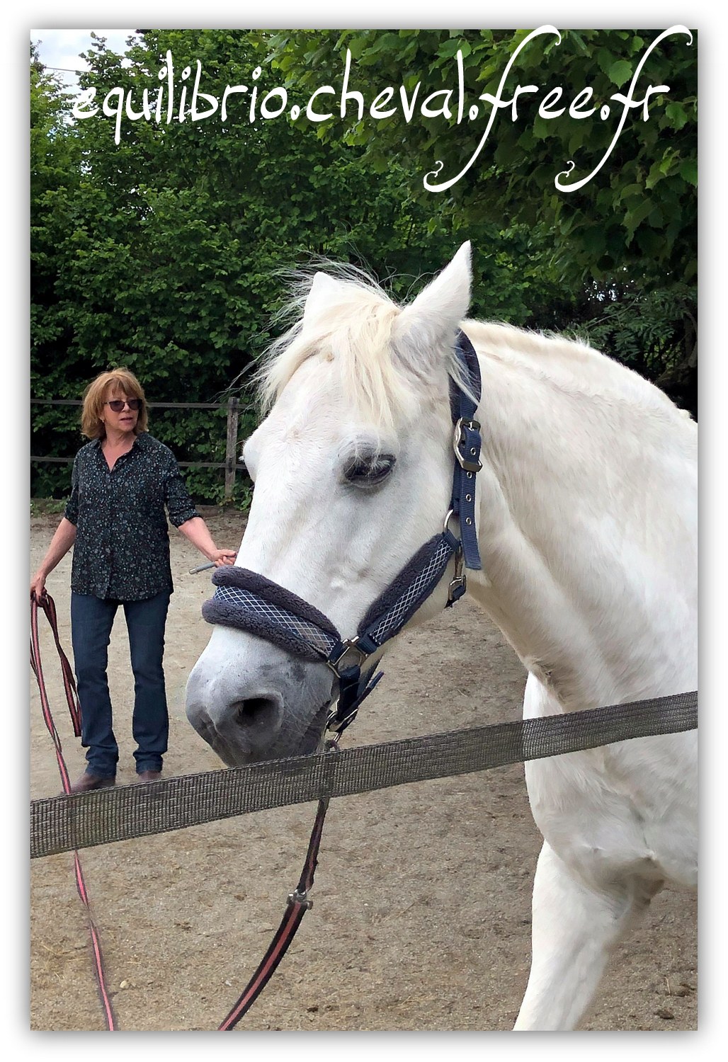 Equilibrio - Haras du Souzan -  Mai 2019 - Stage Travail en longe et Cirque avec Olivier Finet - LAGILE DU FEYDEL, Poney Français de Selle et Ghyslaine