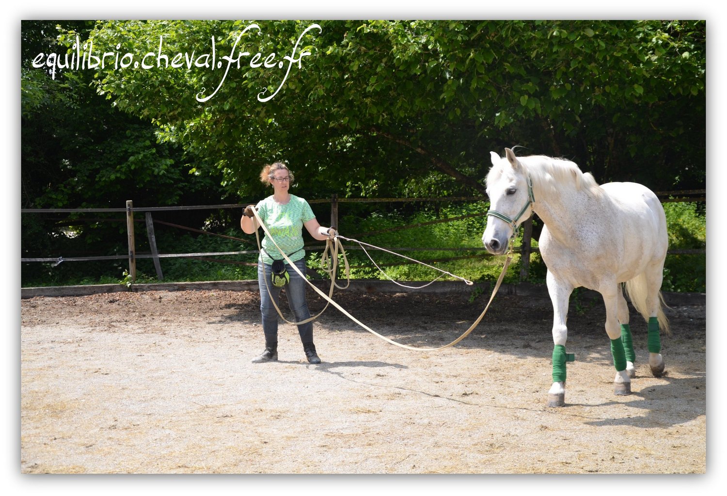 Equilibrio - Haras du Souzan -  Mai 2019 - Stage Travail en longe et Cirque avec Olivier Finet - MYSTIC VIRIATO, Ibérique et Natacha