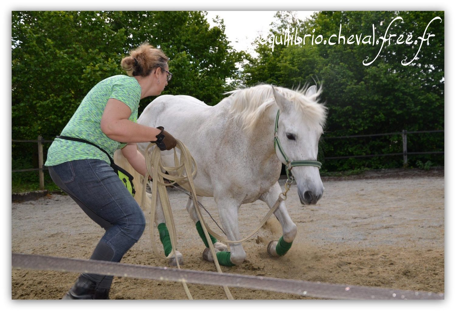 Equilibrio - Haras du Souzan -  Mai 2019 - Stage Travail en longe et Cirque avec Olivier Finet - MYSTIC VIRIATO, Ibérique et Natacha
