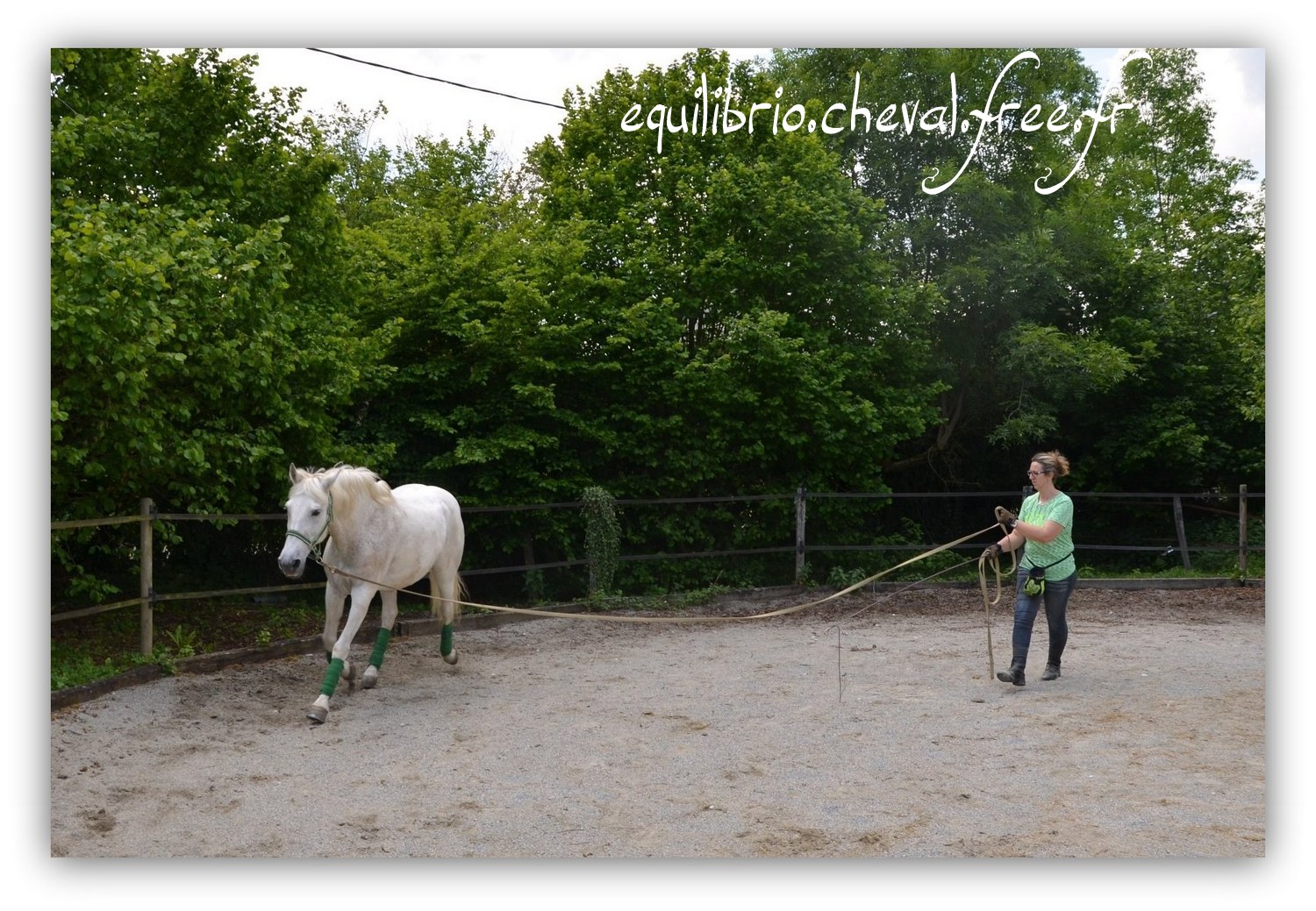 Equilibrio - Haras du Souzan -  Mai 2019 - Stage Travail en longe et Cirque avec Olivier Finet - MYSTIC VIRIATO, Ibérique et Natacha