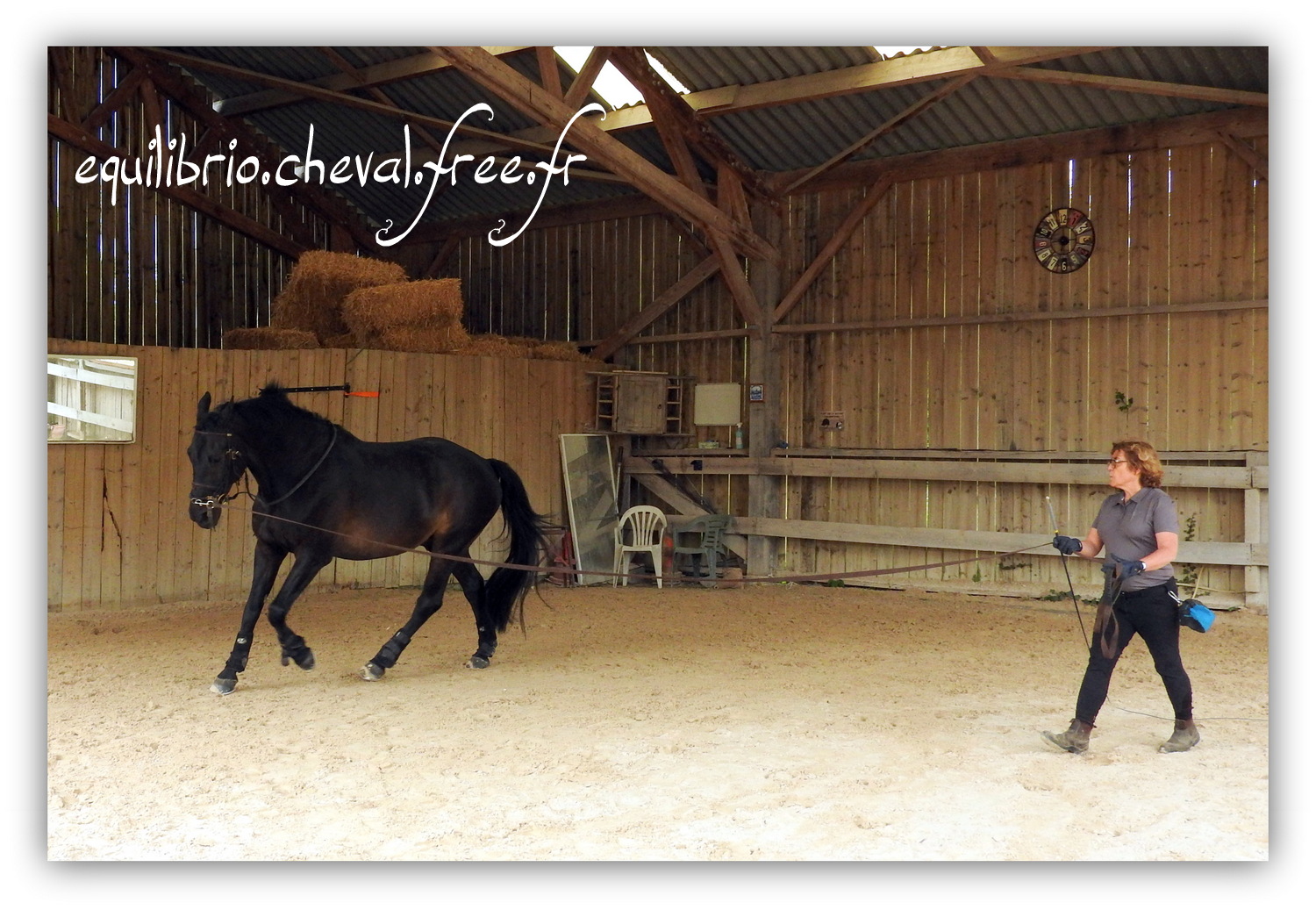 Equilibrio - Haras du Souzan -  Mai 2019 - Stage Travail en longe et Cirque avec Olivier Finet - SILVANO, KWPN et Christiane 