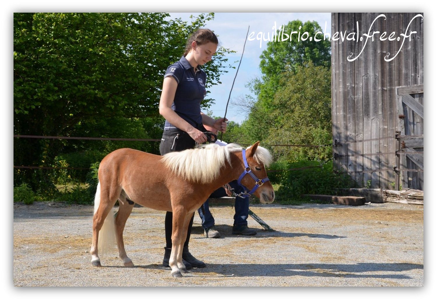Equilibrio - Haras du Souzan -  Mai 2019 - Stage Travail en longe et Cirque avec Olivier Finet - SPARKLING MH ILANDRYEL, Miniature Américain et Melissa
