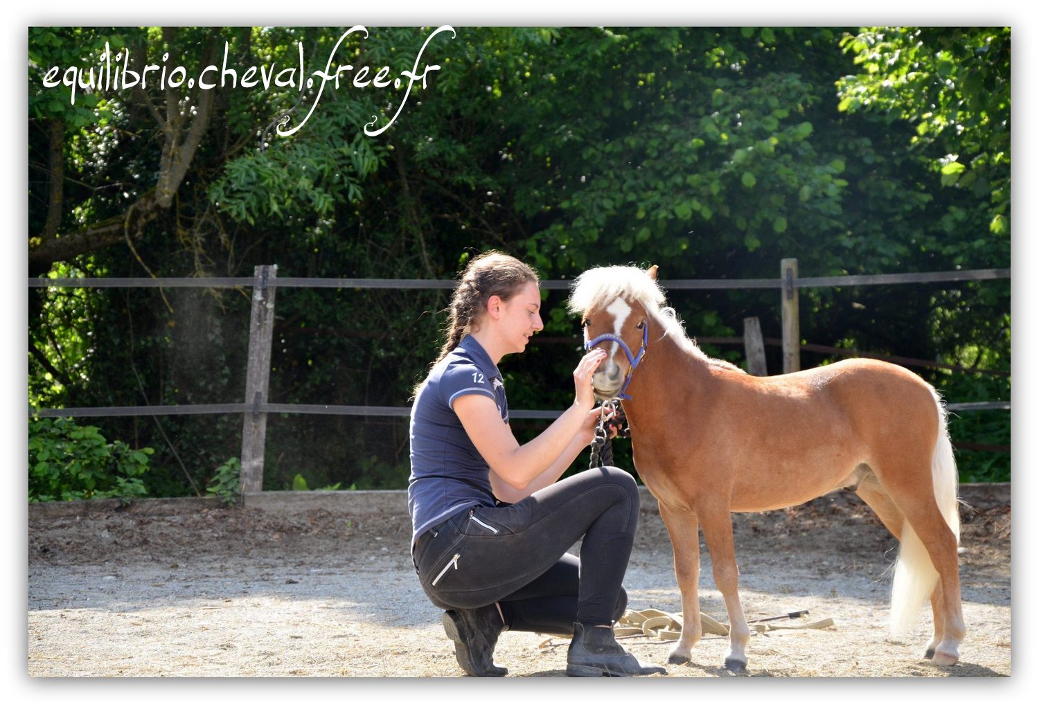 Equilibrio - Haras du Souzan -  Mai 2019 - Stage Travail en longe et Cirque avec Olivier Finet - SPARKLING MH ILANDRYEL, Miniature Américain et Melissa