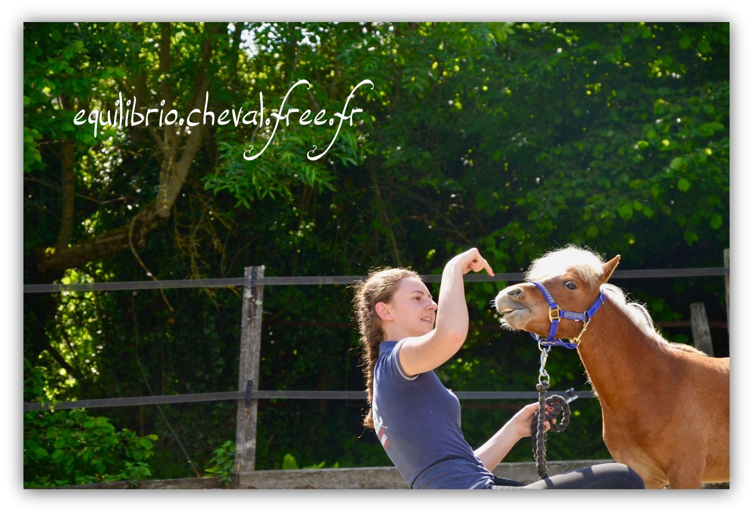 Equilibrio - Haras du Souzan -  Mai 2019 - Stage Travail en longe et Cirque avec Olivier Finet - SPARKLING MH ILANDRYEL, Miniature Américain et Melissa