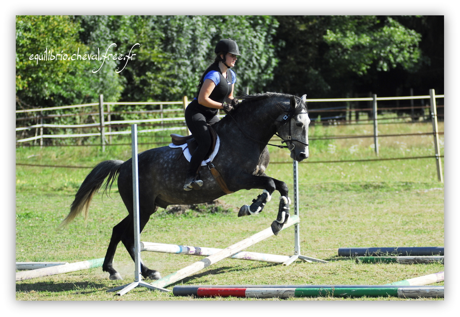 Equilibrio - septembre 2019- Stage barres au sol, cavalettis, obstacle avec Tammy weal - BAMBINO MENEZES, PSL et Cassandre