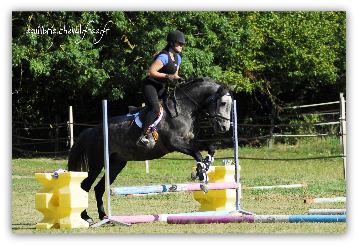 Equilibrio - septembre 2019- Stage barres au sol, cavalettis, obstacle avec Tammy weal - BAMBINO MENEZES, PSL et Cassandre