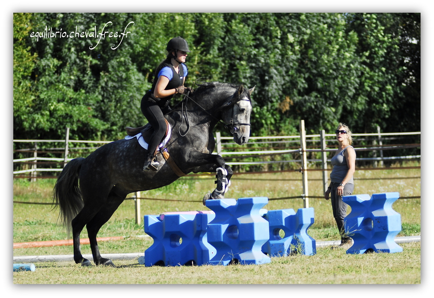 Equilibrio - septembre 2019- Stage barres au sol, cavalettis, obstacle avec Tammy weal - BAMBINO MENEZES, PSL et Cassandre