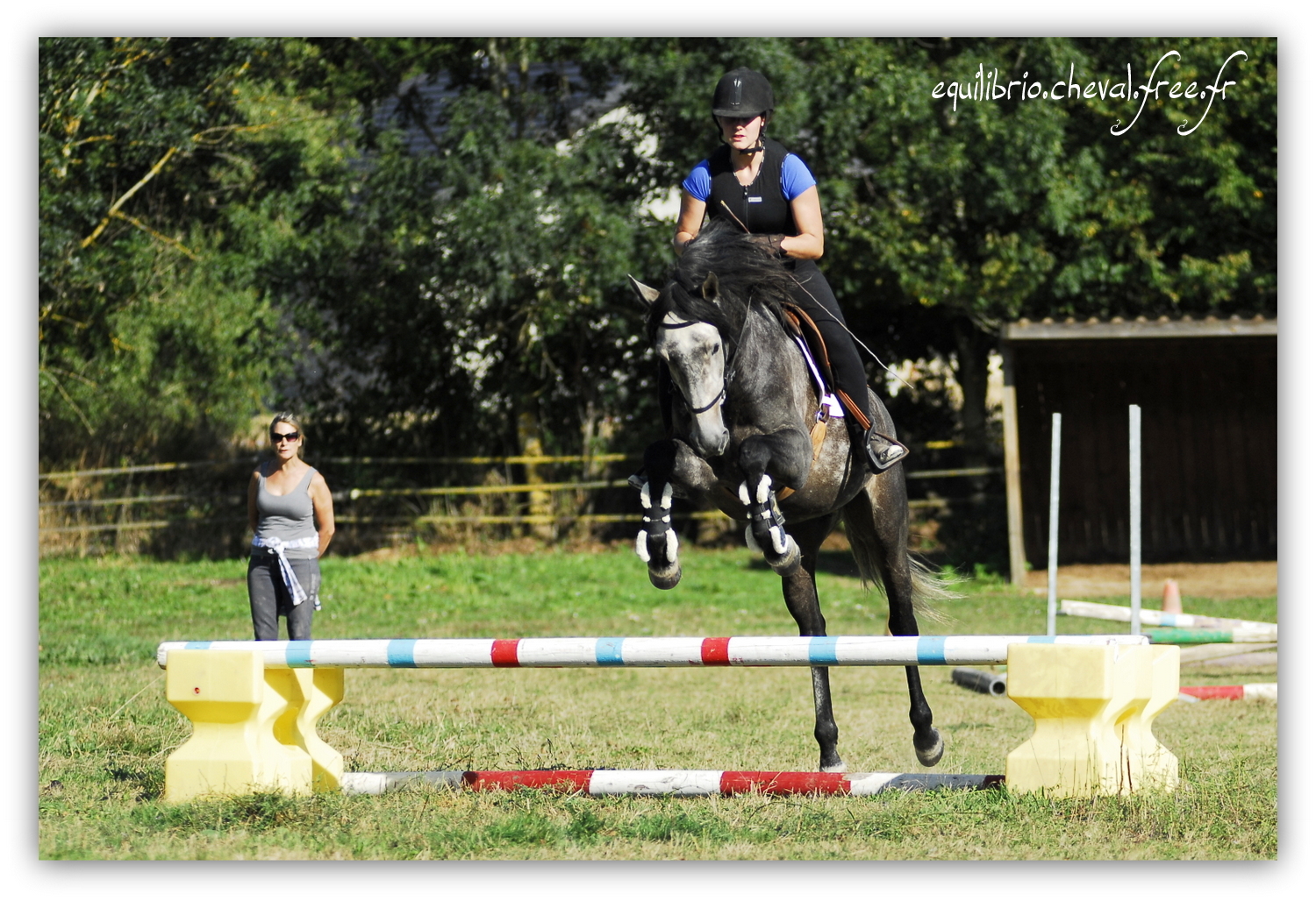 Equilibrio - septembre 2019- Stage barres au sol, cavalettis, obstacle avec Tammy weal - BAMBINO MENEZES, PSL et Cassandre