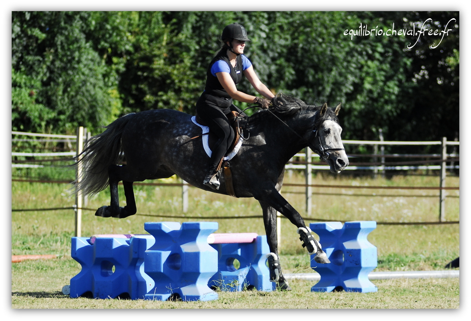 Equilibrio - septembre 2019- Stage barres au sol, cavalettis, obstacle avec Tammy weal - BAMBINO MENEZES, PSL et Cassandre