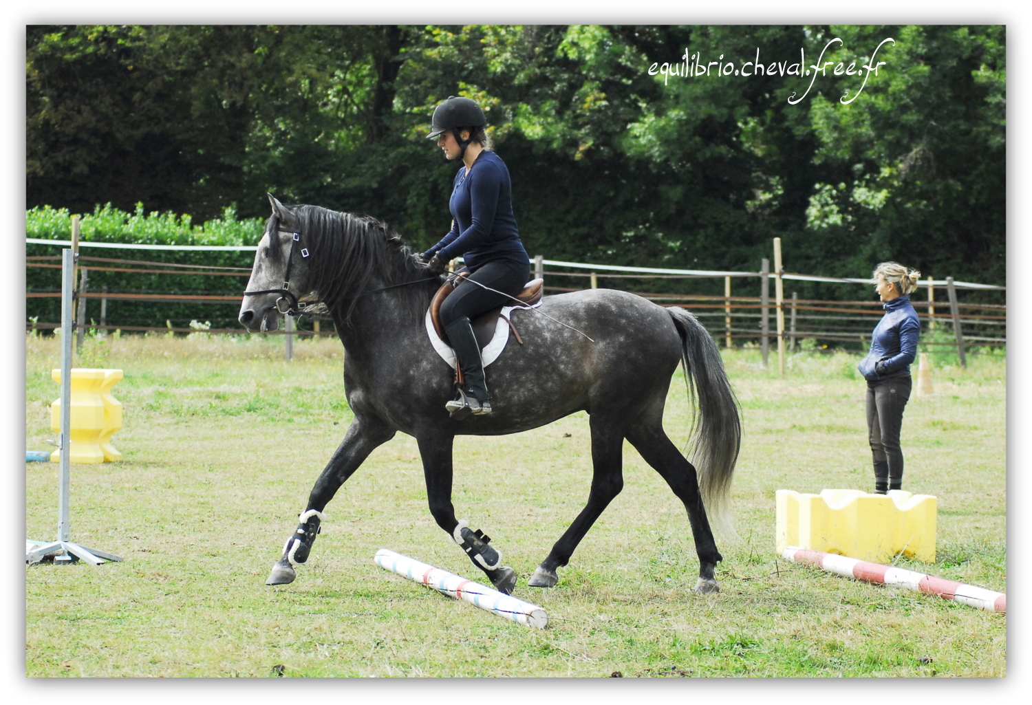 Equilibrio - septembre 2019- Stage barres au sol, cavalettis, obstacle avec Tammy weal - BAMBINO MENEZES, PSL et Cassandre