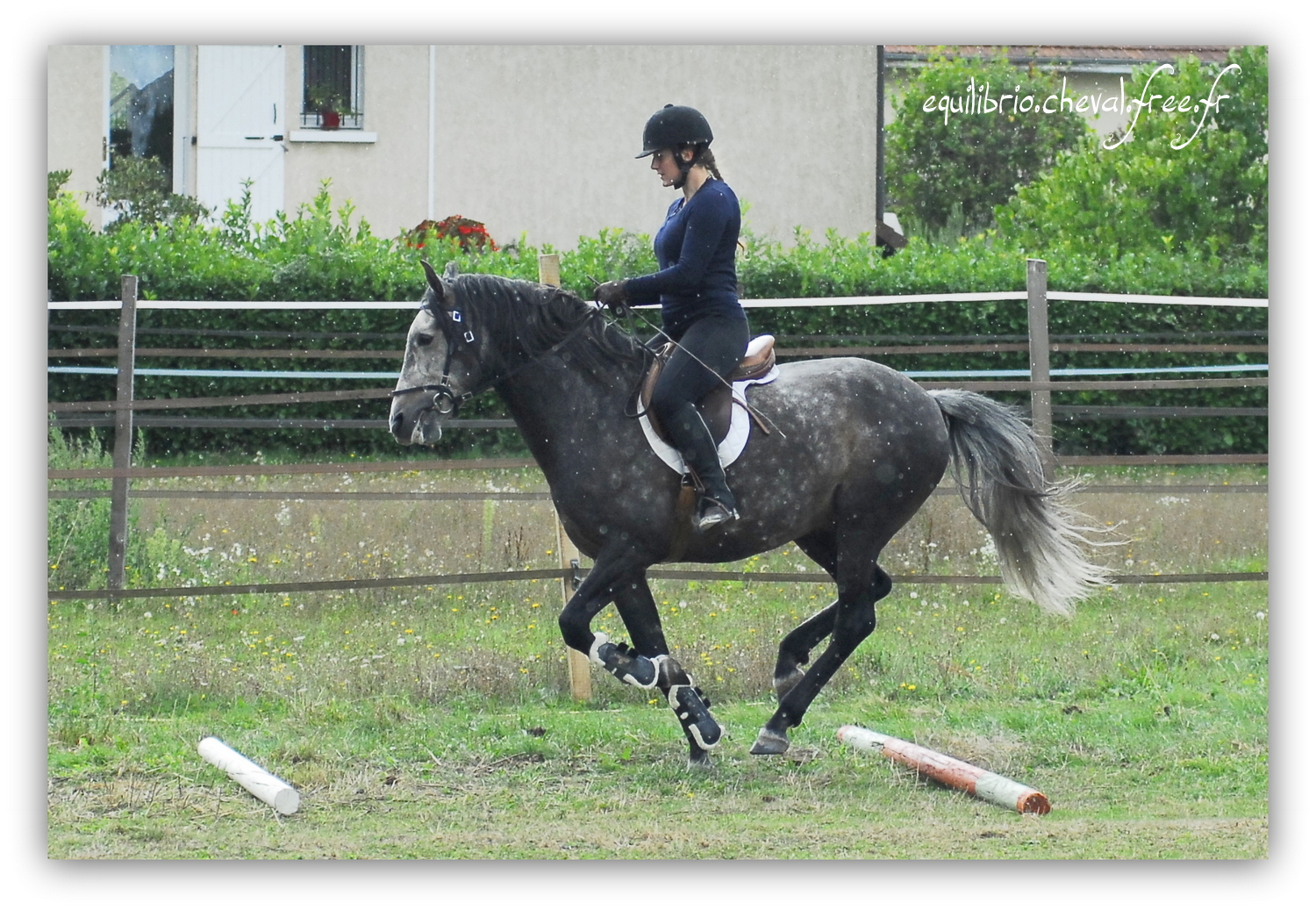 Equilibrio - septembre 2019- Stage barres au sol, cavalettis, obstacle avec Tammy weal - BAMBINO MENEZES, PSL et Cassandre