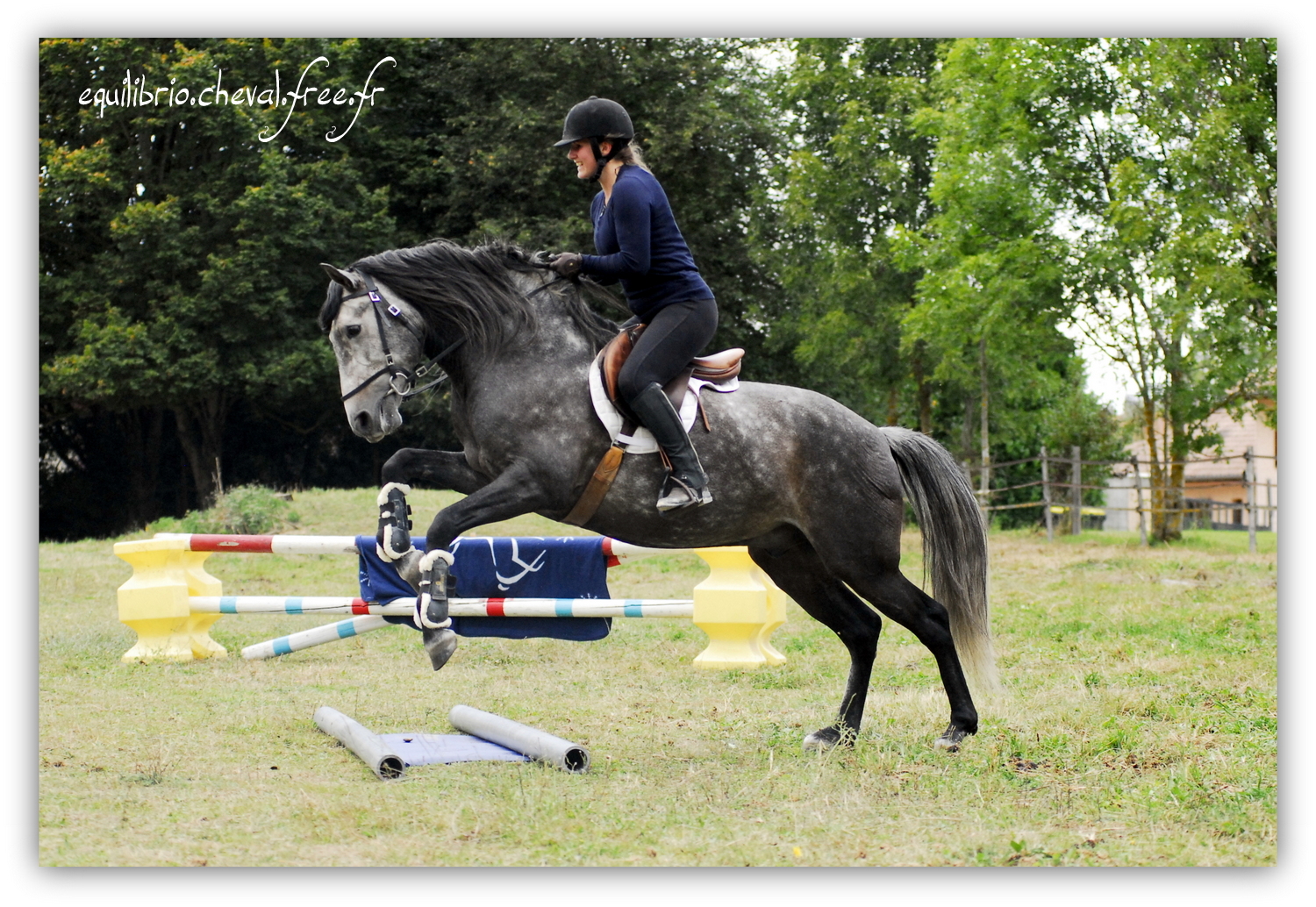 Equilibrio - septembre 2019- Stage barres au sol, cavalettis, obstacle avec Tammy weal - BAMBINO MENEZES, PSL et Cassandre