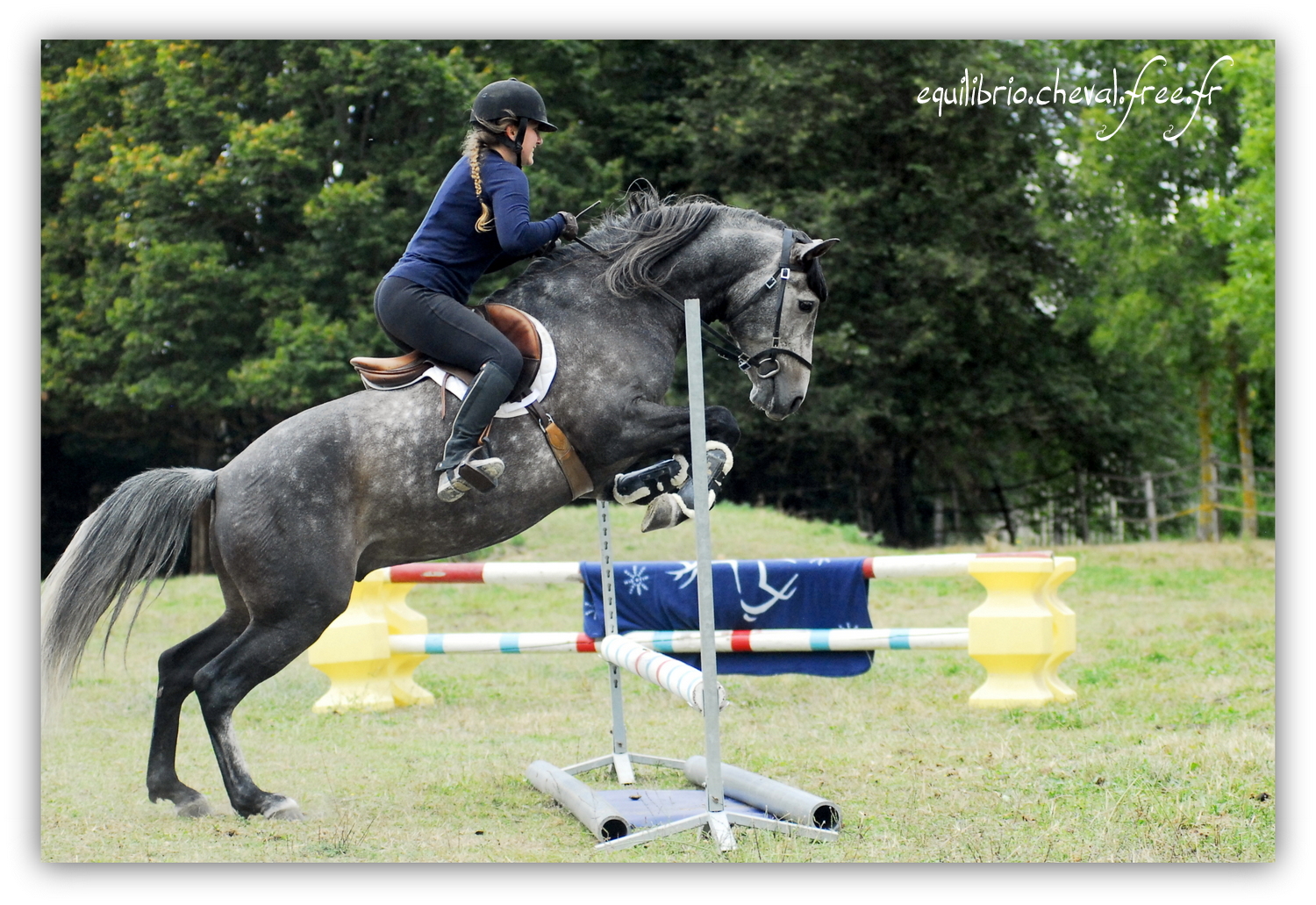 Equilibrio - septembre 2019- Stage barres au sol, cavalettis, obstacle avec Tammy weal - BAMBINO MENEZES, PSL et Cassandre