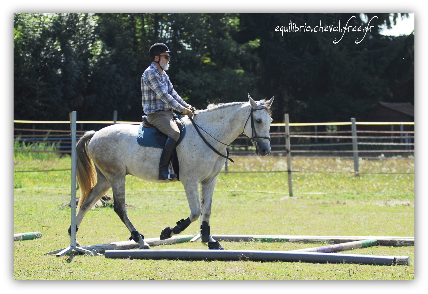 Equilibrio - septembre 2019- Stage barres au sol, cavalettis, obstacle avec Tammy weal - DINO IX, PRE et Dominique