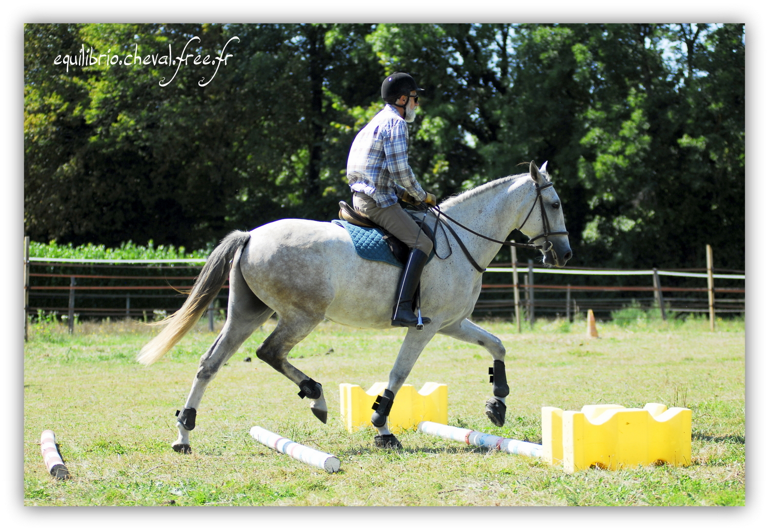  Equilibrio - septembre 2019- Stage barres au sol, cavalettis, obstacle avec Tammy weal - DINO IX, PRE et Dominique