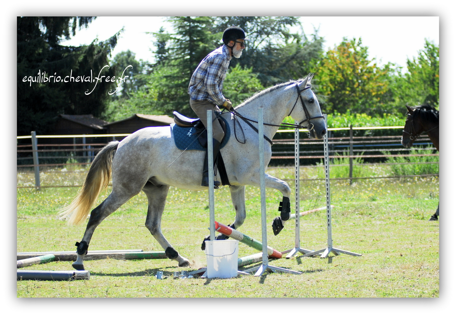 Equilibrio - septembre 2019- Stage barres au sol, cavalettis, obstacle avec Tammy weal - DINO IX, PRE et Dominique