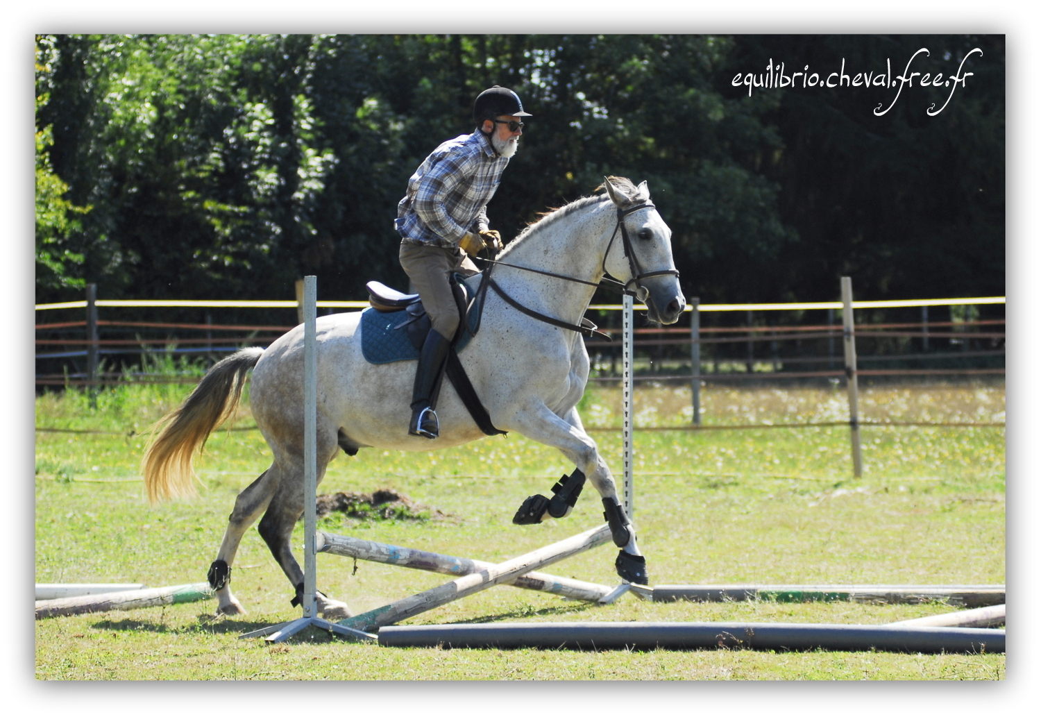 Equilibrio - septembre 2019- Stage barres au sol, cavalettis, obstacle avec Tammy weal - DINO IX, PRE et Dominique
