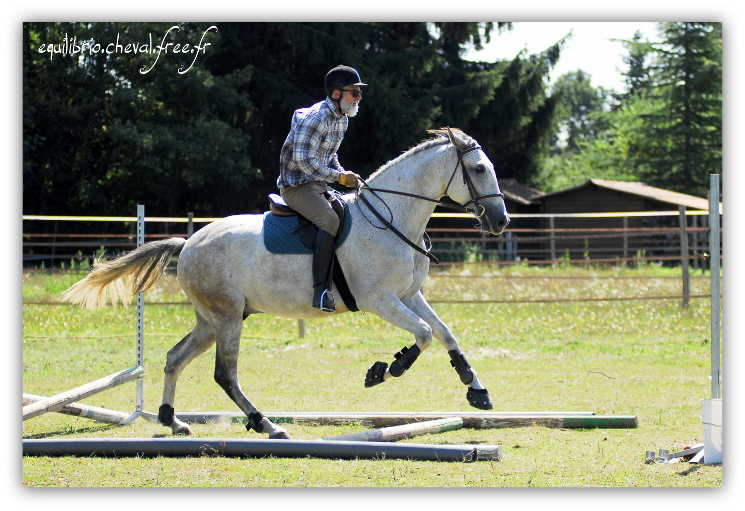 Equilibrio - septembre 2019- Stage barres au sol, cavalettis, obstacle avec Tammy weal - DINO IX, PRE et Dominique
