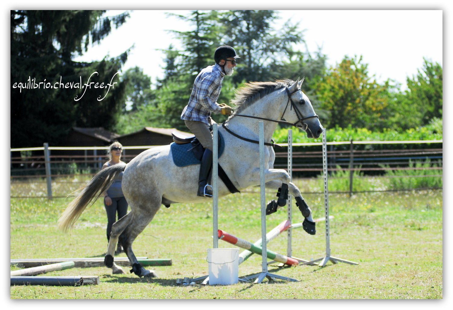 Equilibrio - septembre 2019- Stage barres au sol, cavalettis, obstacle avec Tammy weal - DINO IX, PRE et Dominique