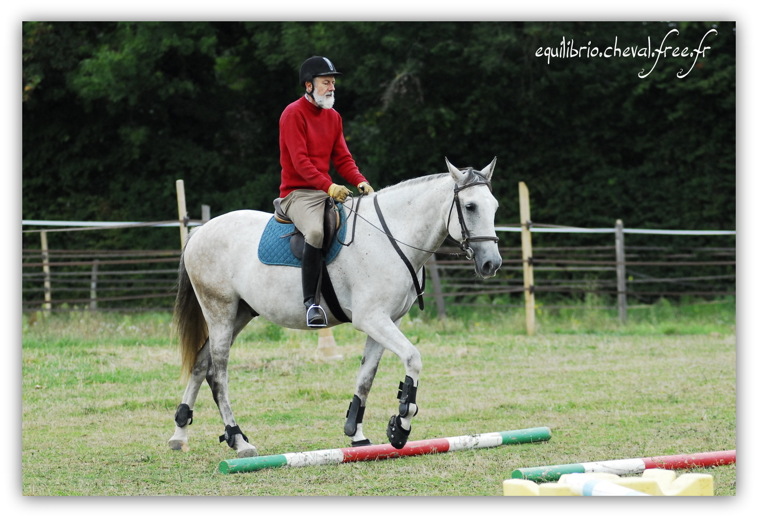 Equilibrio - septembre 2019- Stage barres au sol, cavalettis, obstacle avec Tammy weal - DINO IX, PRE et Dominique