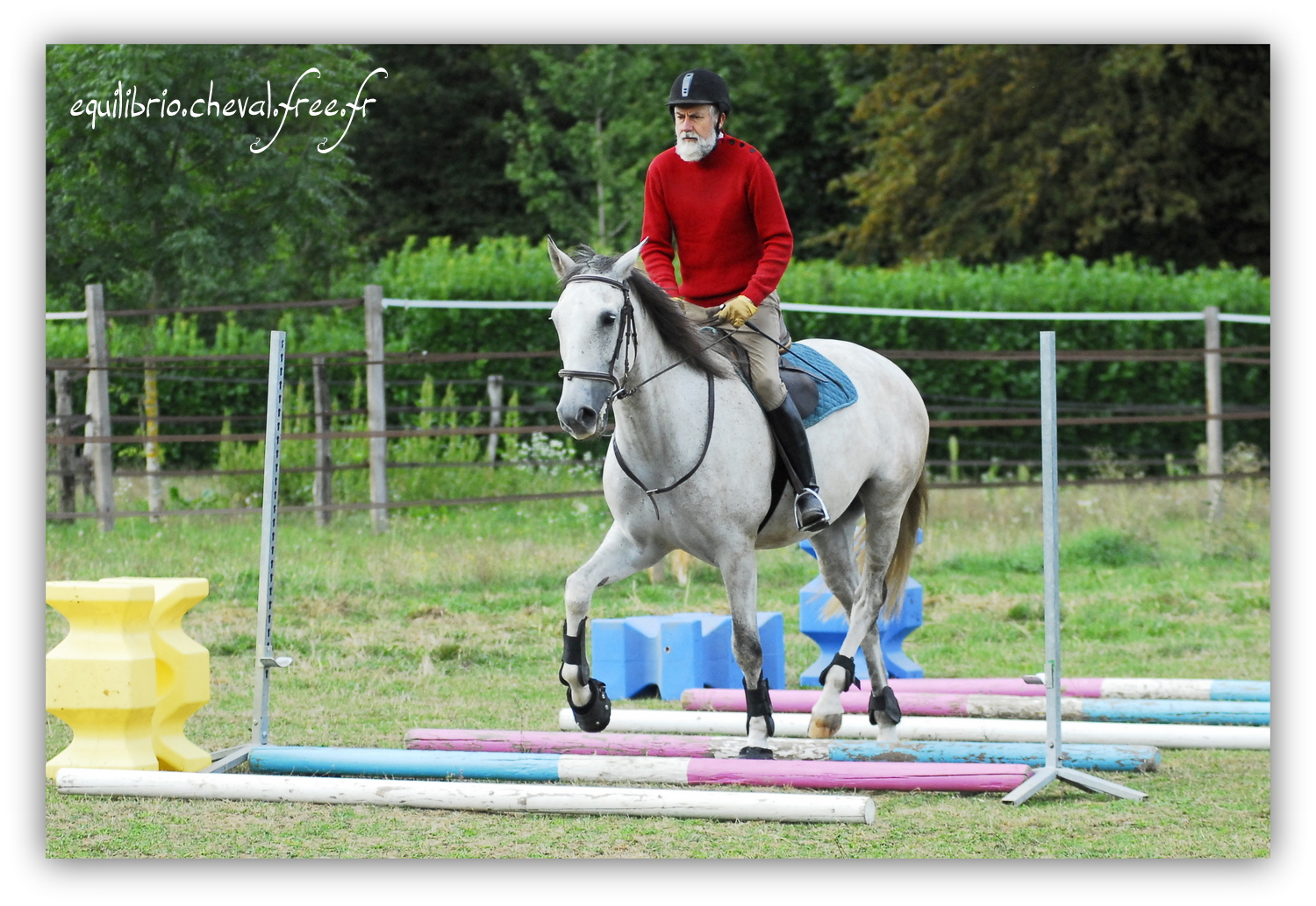 Equilibrio - septembre 2019- Stage barres au sol, cavalettis, obstacle avec Tammy weal - DINO IX, PRE et Dominique