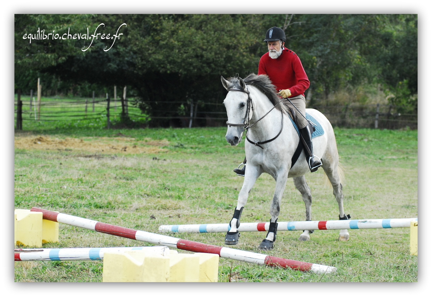 Equilibrio - septembre 2019- Stage barres au sol, cavalettis, obstacle avec Tammy weal - DINO IX, PRE et Dominique